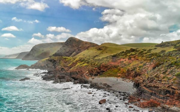 1-Day Fleurieu Peninsula 4WD Eco Safari Tour
