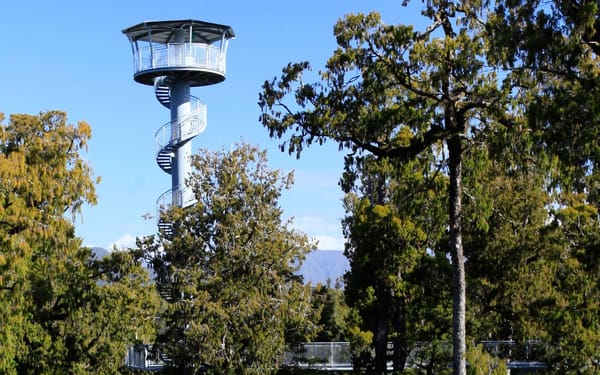 West Coast Tree Top Tower Ticket