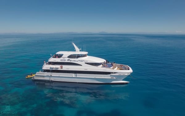 2 Day Great Barrier Reef and Daintree Rainforest Tour