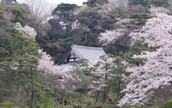 Sankeien Garden Admission
