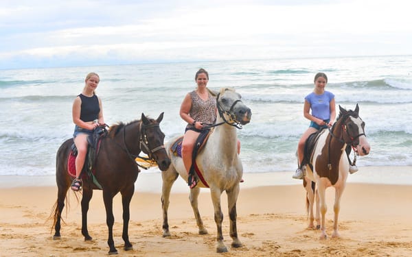 Phuket Kamala Beach House Horse Riding with Horse Care
