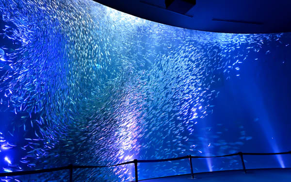 Port of Nagoya Public Aquarium Ticket