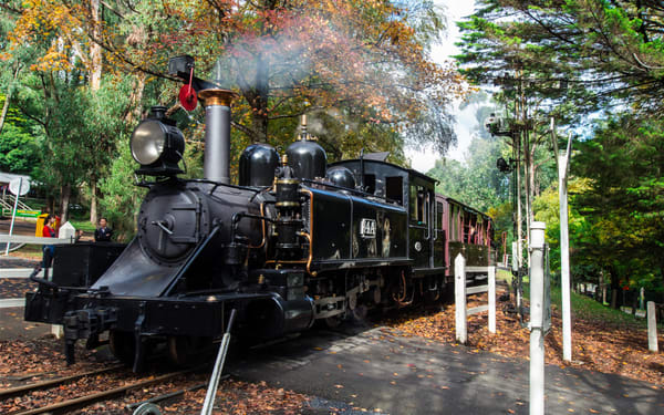 Puffing Billy and Healesville Sanctuary Scenic Tour