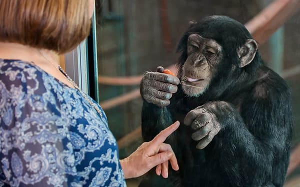 Monarto Safari Park Keeper for a Day