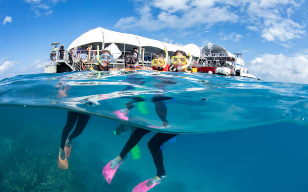 Great Barrier Reef Pontoon from Cairns including Snorkelling