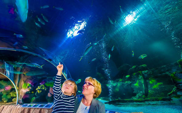 SEA LIFE Timmendorfer Strand Admission Ticket