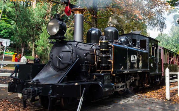 Puffing Billy and Phillip Island Wildlife Day Tour
