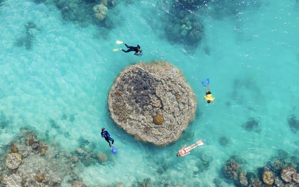 Fly Raft Experience with Scenic Flight and Ocean Rafting