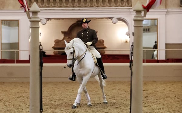 Lipizzaner performance ticket at the Spanish Riding School in Vienna