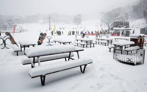 Thredbo or Perisher Day Tour