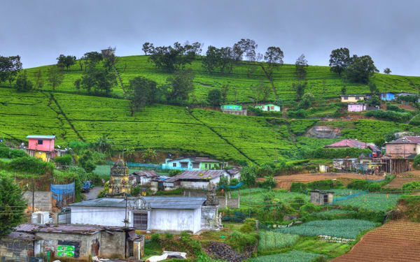 All in Nuwara Eliya Day Tour from Kandy
