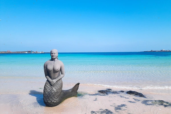 Jeju Main Attractions One Day Tour