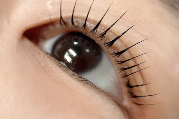 Gyeongju K-Beauty Premium Lash Lift