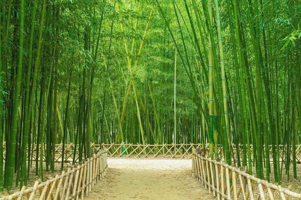 Ulju-gun, Ulsan One day Tour from Busan