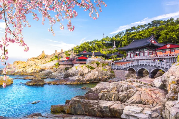 Busan City Top Attractions Tour with Haeundae Blueline Park