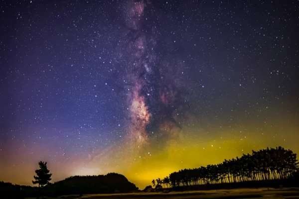 Gangneung Starlight Tour from Seoul