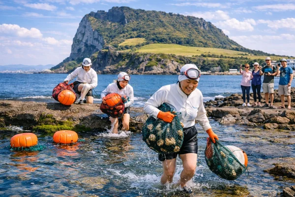 Jeju Eastern Must-See Spot Tour with Haenyeo show
