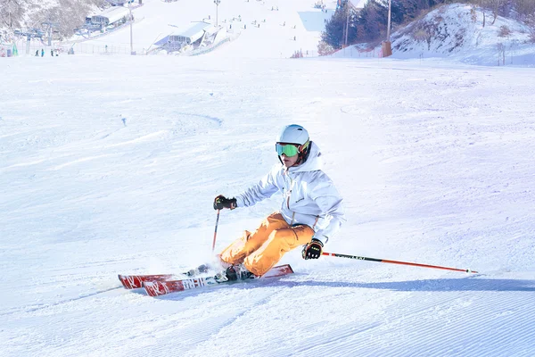 Elysian Ski Resort + Eobi Ice Valley One Day Tour
