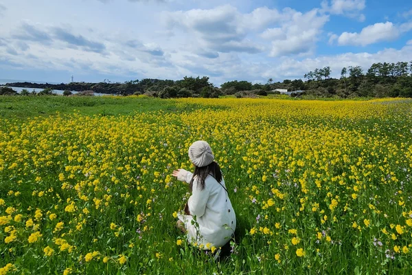 Jeju island Charms Join in Day Tour with 3 Route (E,S,WS), Hallasan