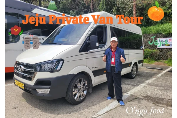 Jeju Private Car Charter