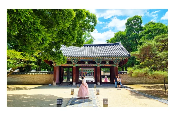 Seoul Private Car Charter to Jeonju with Michelin-Starred Bibimbap
