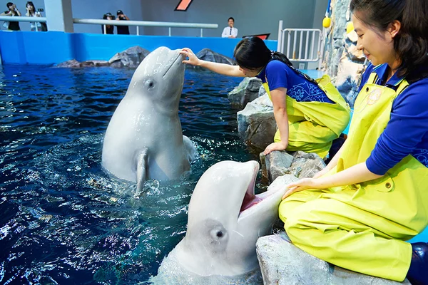 Aqua Planet Ticket in Yeosu