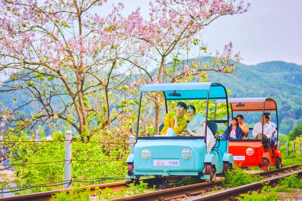 Gapyeong Rail Bike Experience Ticket