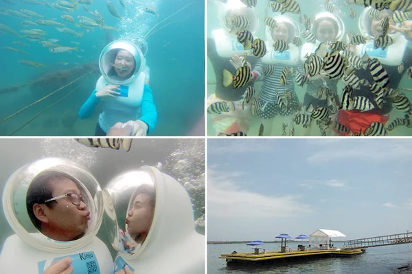 Jeju HAMO Sea Walking Activities