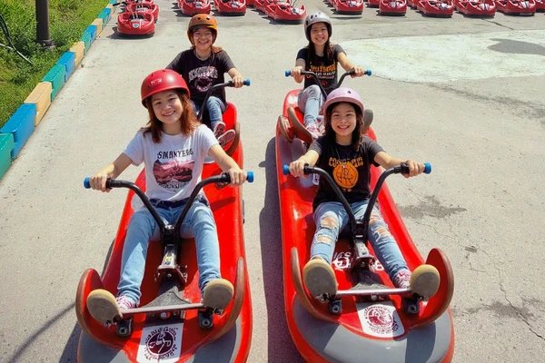 Incheon Day Tour: Luge, Railbike & Ferry with Seagull Feeding