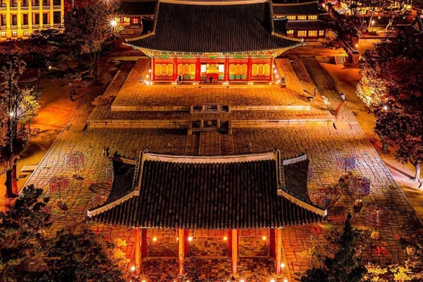 Seoul from Palace to Tower Night Tour