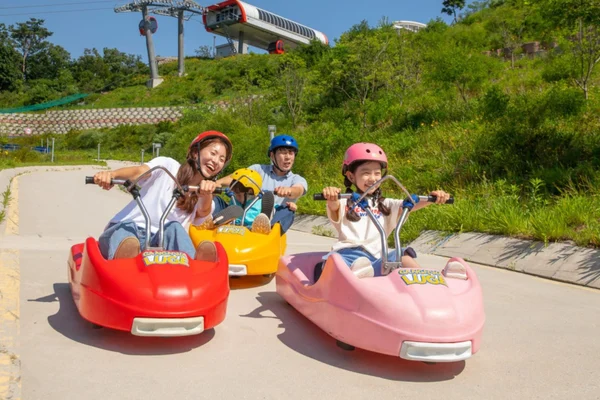 Incheon Day Tour from Seoul: Ganghwado Luge, Railbike, Seagull Ferry