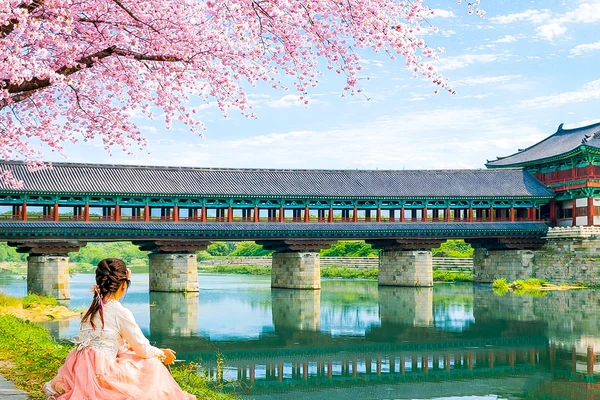 Gyeongju UNESCO Legacy Tour from Busan