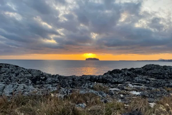 Seogwipo Cheonjiyeon Waterfall Sunset & Olle Market Half-Day Tour