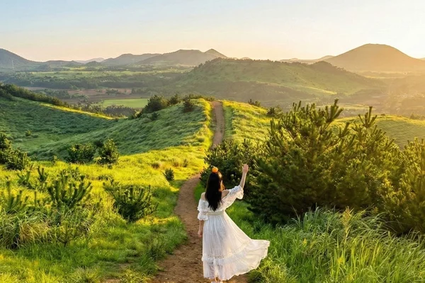 Jeju Full-Day UNESCO Heritage & Natural Scenery Tour