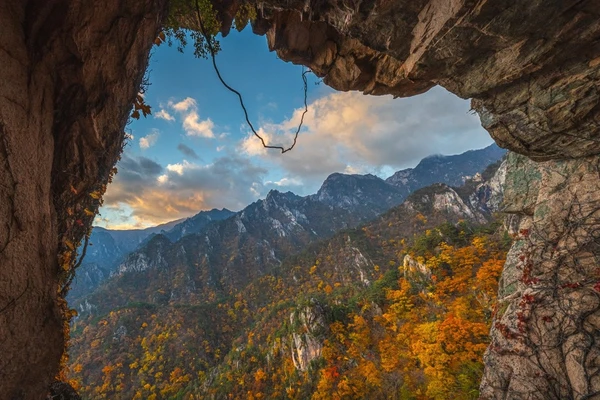 Seoraksan National Park & Naksansa Temple Sightseeing Tour