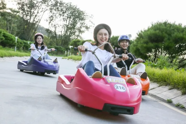 Ganghwa Luge & Joyang Textile Discovery Day Tour