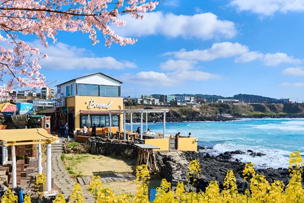 Jeju Island One Day Authentic Tour - WestSouth / East