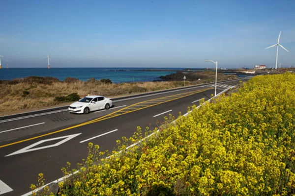 Jeju Island Private Car Charter