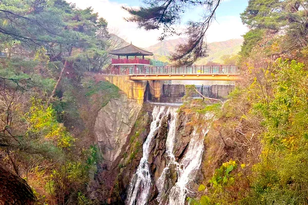 Seoul Cheongpung Cable Car & Uirimji Reservoir Full-Day Tour
