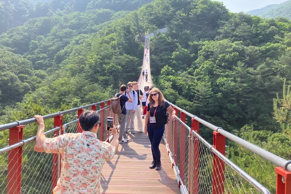 DMZ Tour: Red Suspension Bridge & Observatory from Seoul