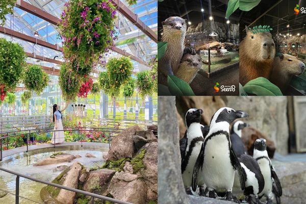 Gapyeong Nature Tour: Aqua Garden, Begonia Bird Garden & SeenB Zoo