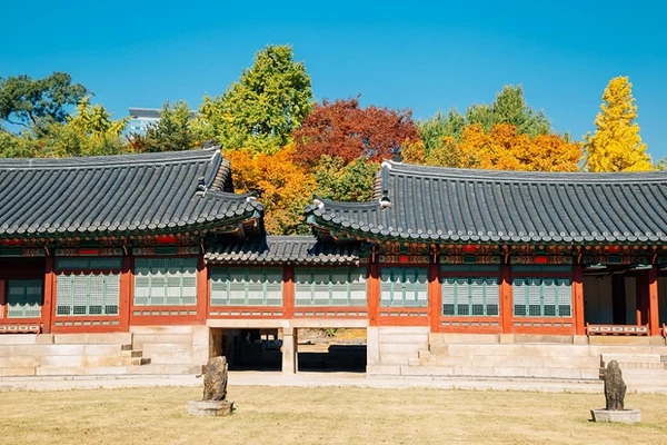Seoul Deoksugung Palace Half-Day Architecture Tour