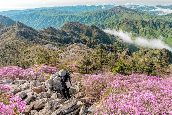 Seoul Seoraksan & Nami Island Guided Day Tour