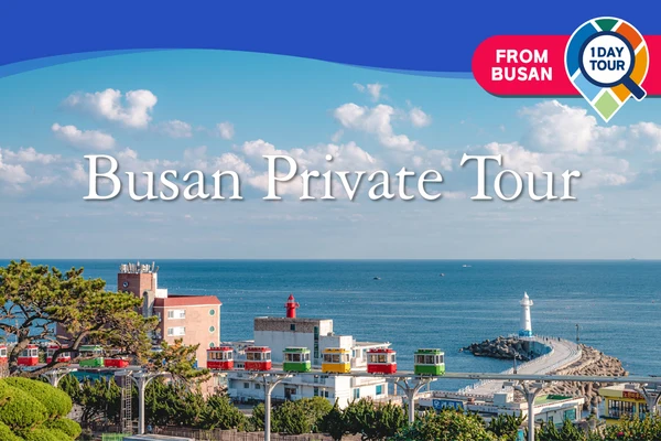 Busan Private Car Charter to Busan Major Spots
