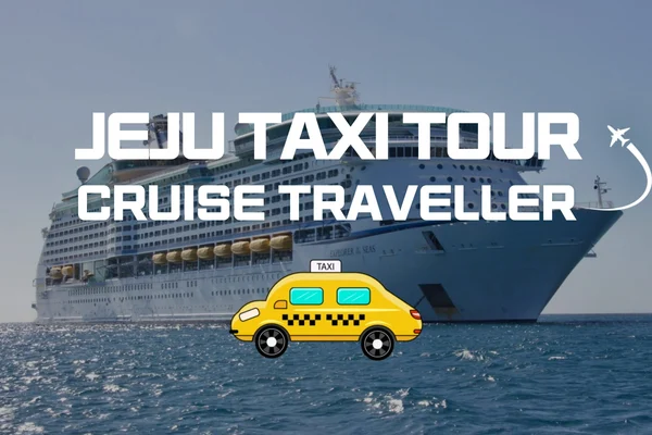 Jeju Cruise Traveller Chartered Car Private Taxi Tour (5 Hours / 8 Hours)