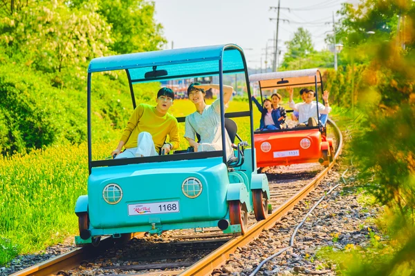 Alpaca+LEGOLAND+Nami Island+RailBike+Morning Calm Private Tour