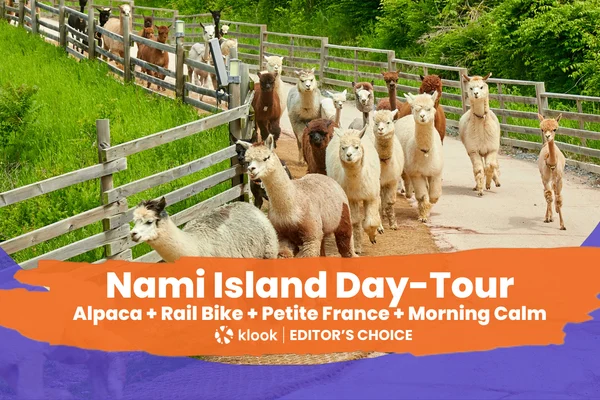 Nami Island / Alpaca/Rail Bike/Petite France/Morning Calm 1Day Tour