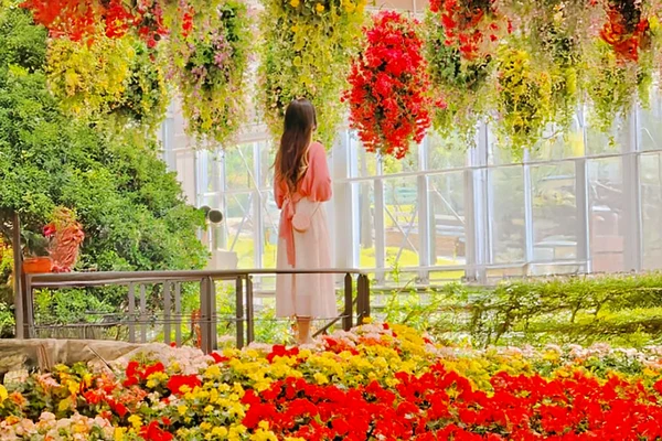 Begonia Bird Park/ Nami/ Rail Bike/ Morning Calm/ Petite France
