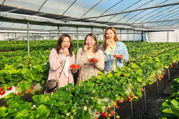 Seoul One Day Tour: Nature & Scenic Views