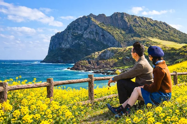 Jeju Island Highlights | East or South & West Day Tour